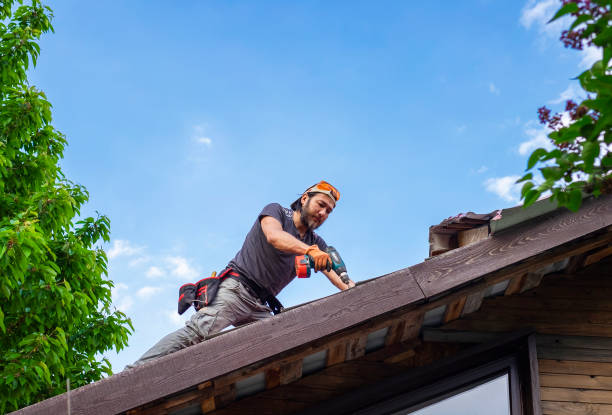 Best Green or Eco-Friendly Roofing Solutions  in Nome, AK