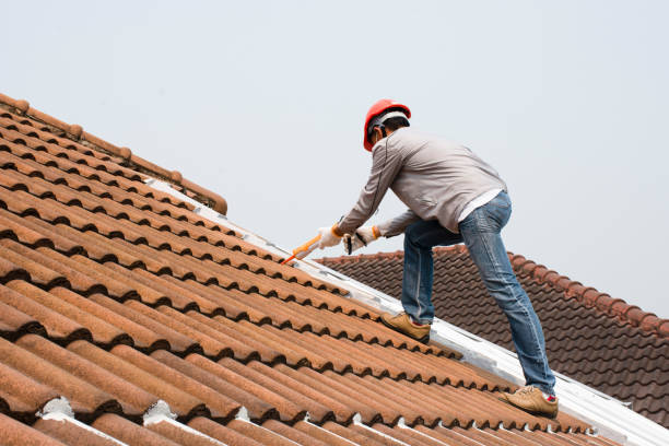Best Roof Ventilation Installation  in Nome, AK